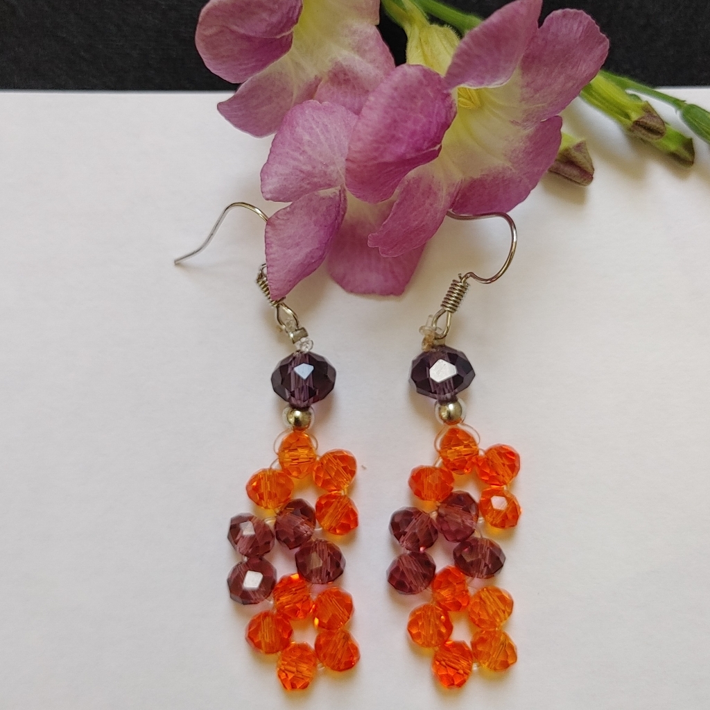 Elongated Earrings